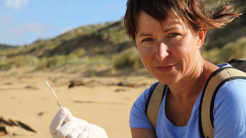 Volunteer Colleen Hughson holding plastic pipe from a cotton bud with beach behind her for a story about cleaning up Australia.