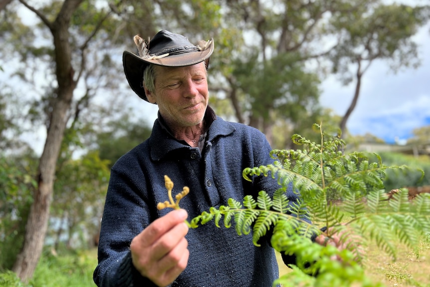 A man wears a hat and blue jumper, while holding a green leafy plant and smiling.