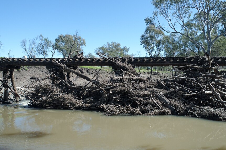 Flood debris built up on the old Condamine River rail bridge near Pampas, Southern Queensland, July 2022. 