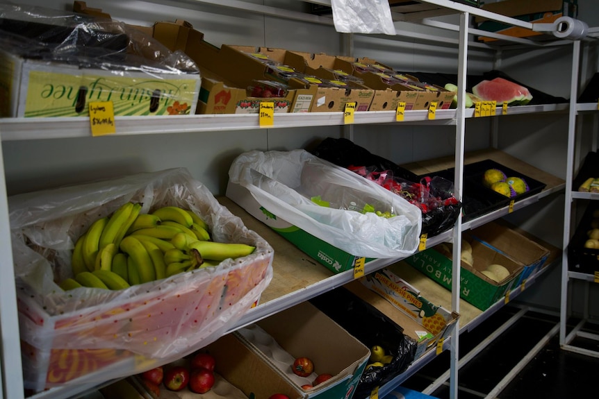 Fruit and vegetables in boxes sitting on shelves