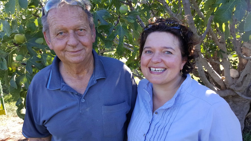 Frank and Sue Heward stand in their Monash fig orchard.