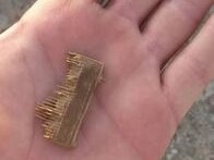 Ancient lice comb