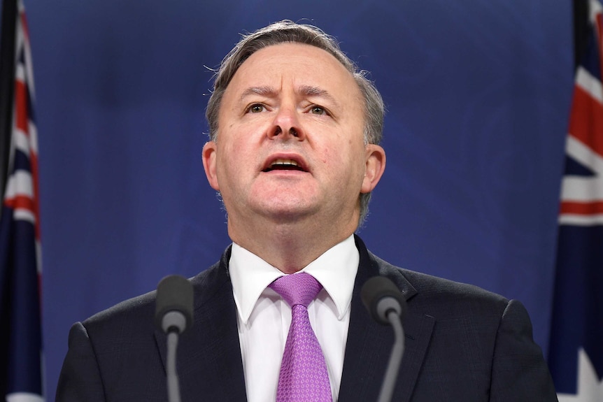 Anthony Albanese speaks at a podium with an Australian flag either side and behind him.