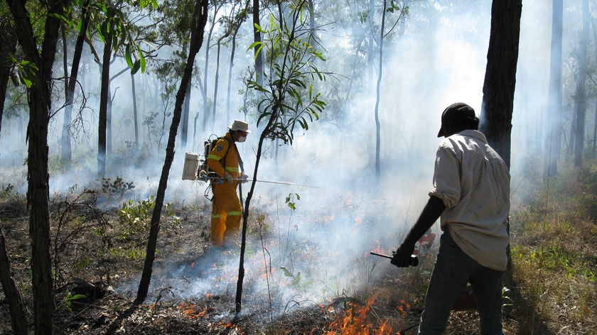 Savannah country burning qualifies for carbon credits.