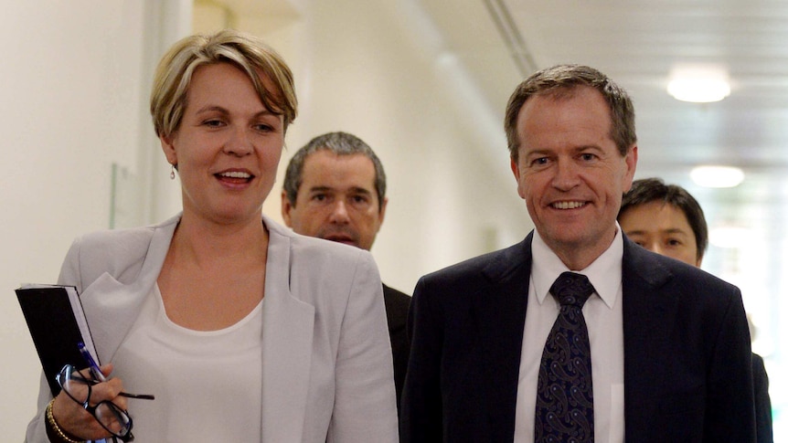 Tanya Plibersek and Bill Shorten walk out of Caucus