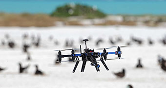Image of drone with birds in the background