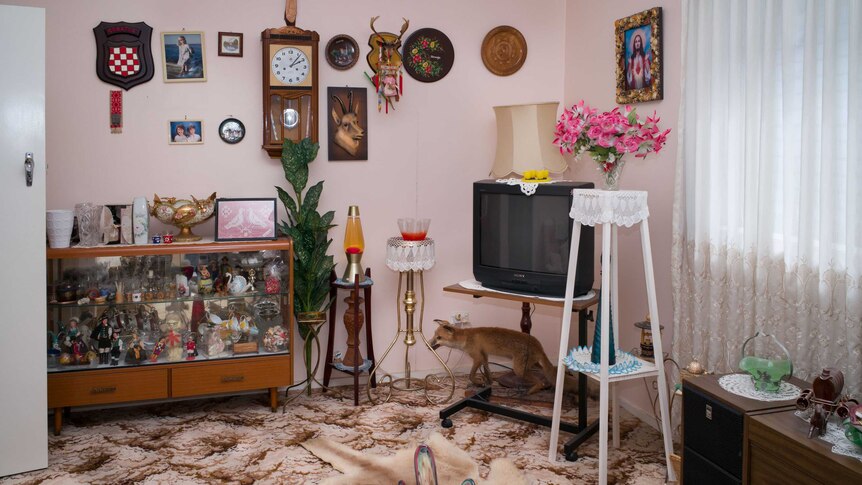 A pale pink loungeroom is pictured with brown patterned carpet and a myriad of photos and framed artworks on the wall.