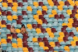 Fans sitting in an empty stand at the cricket in Brisbane.