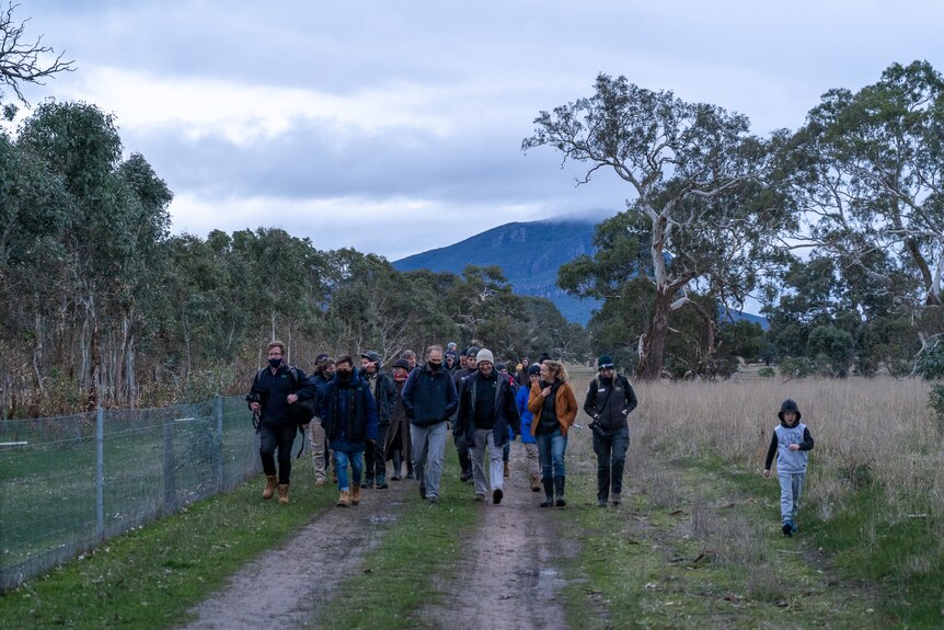 a group walks in a paddock with the Grampians behind.