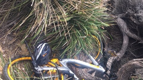Bikes in bush between Bondi and Bronte