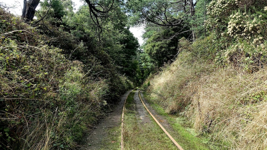 North East Rail Trail track near Lebrina