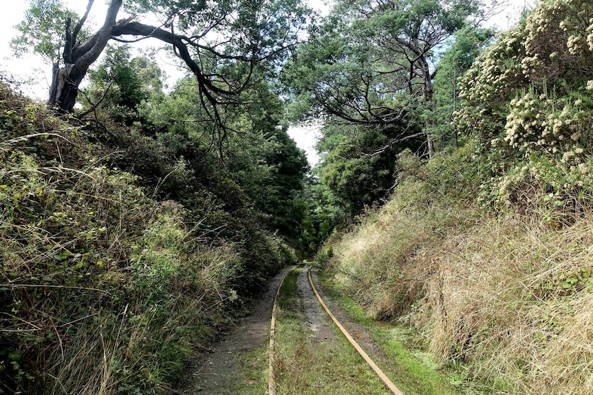 North East Rail Trail track near Lebrina