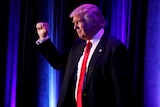 Donald Trump stands with fist raised