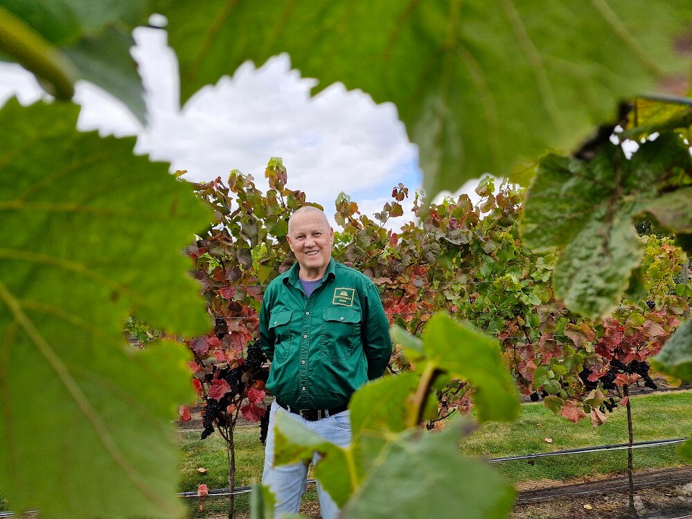 A man smiling at the camera in amongst the grapevines