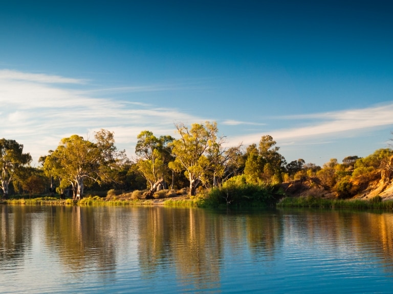 Murray in the late afternoon sun at Murtho in South Australia