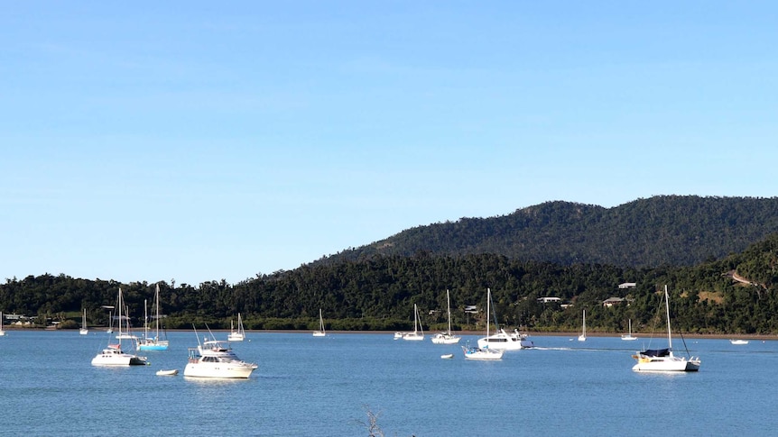 Sailing boats in a natural harbour with mountains in the background.