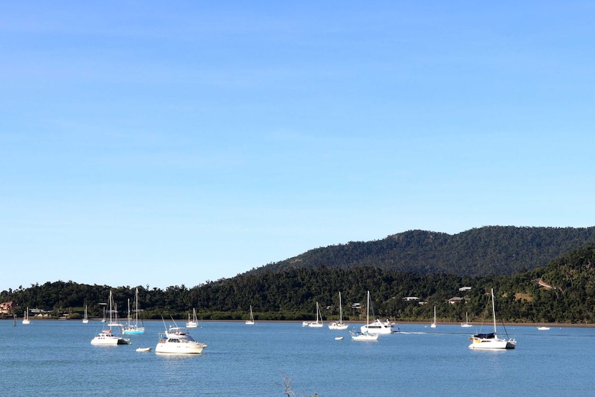 Sailing boats in a natural harbour with mountains in the background.