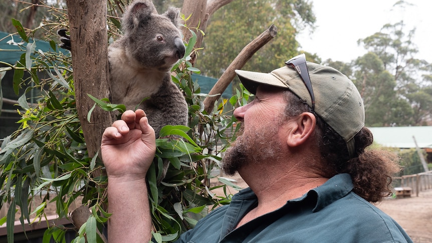 Secret Creek Sanctuary manager Trevor Evans with a koala.