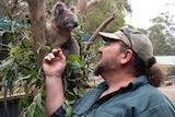 Secret Creek Sanctuary manager Trevor Evans with a koala.