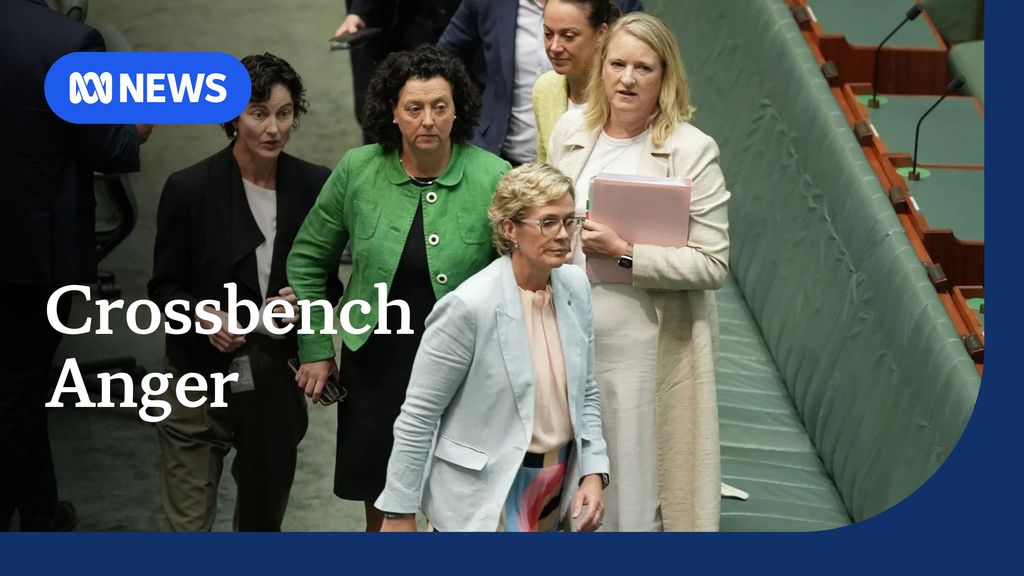 Crossbench fury at changes to political donation laws - ABC News