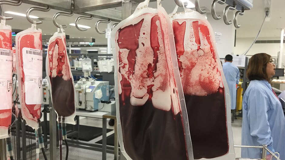Australian Red Cross blood processing facility