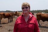 A woman with light brown hail, in a long sleeved red shirt, wearing a necklace and sunglasses stands with cattle behind her