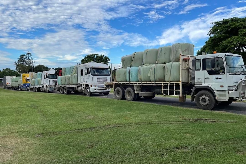Trucks in a line with bales of hay