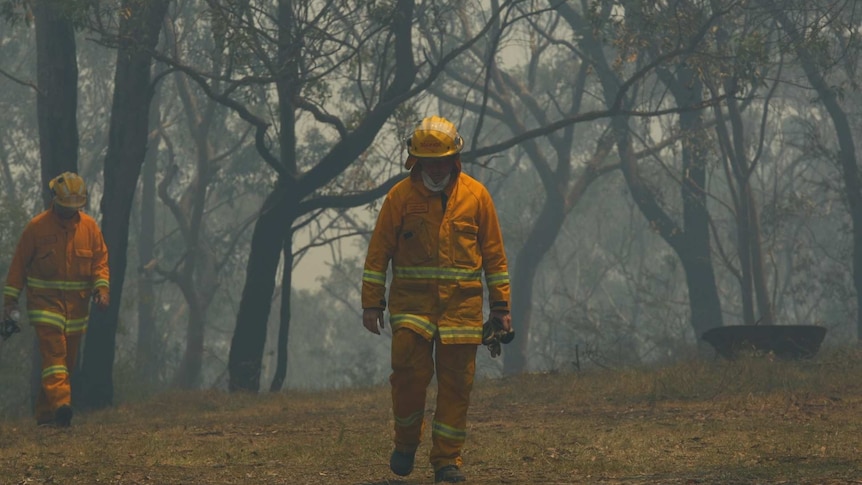 Firefighters walk through thick smoke in Faulconbridge on Thursday, 24 October 2013