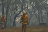 Firefighters walk through thick smoke in Faulconbridge on Thursday, 24 October 2013