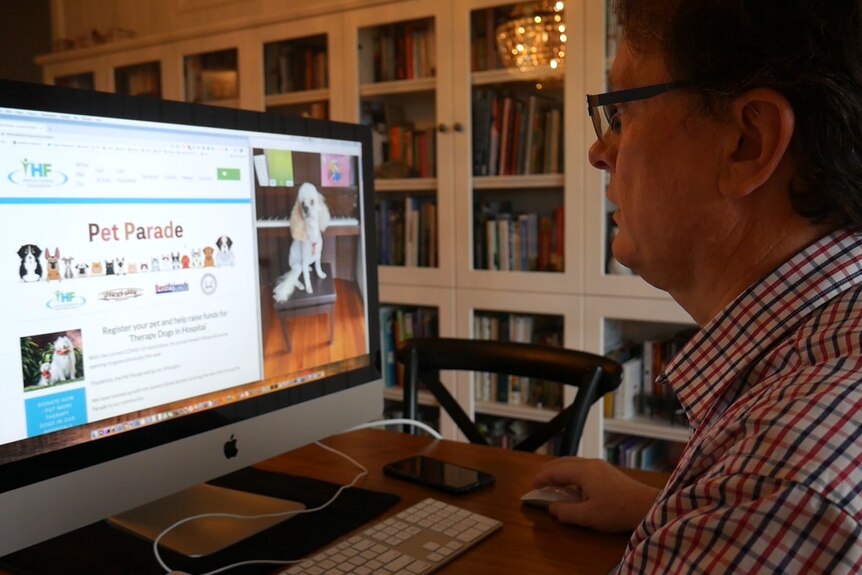 James Sturges looks at a computer screen showing the virtual pet parade website.