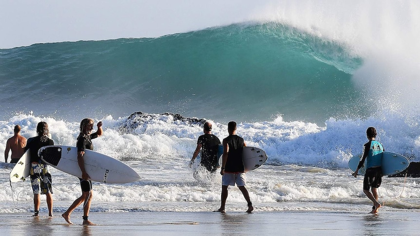 Le nombre de surfeurs double à certaines pauses de la Gold Coast en cinq ans alors que le conseil cherche à gérer la vague