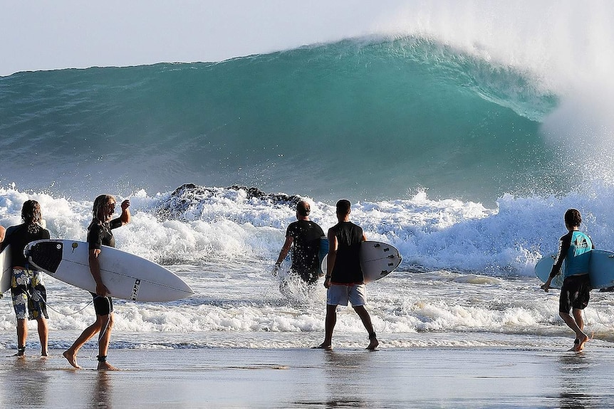 Surfers enter the water during large surf conditions at Snapper Rocks.
