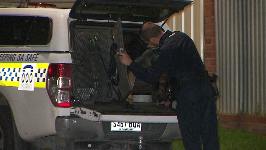 A police officer pats a dog in the back of a police wagon