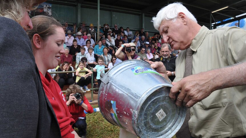 Federal Member for Kennedy Bob Katter empties his milk pail at the Malanda show.