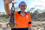 A woman holds up a dead cane toad on the beach.