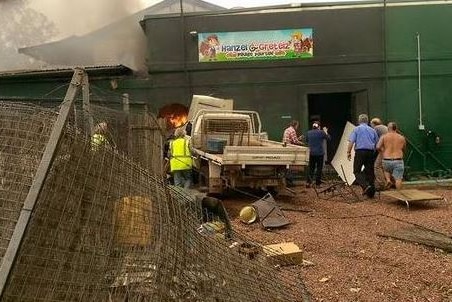 A ute crashed into the back of a cafe, with local and emergency authorities.