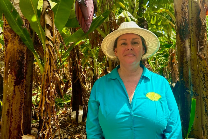 A woman in a blue shirt and white hat in banana plantation