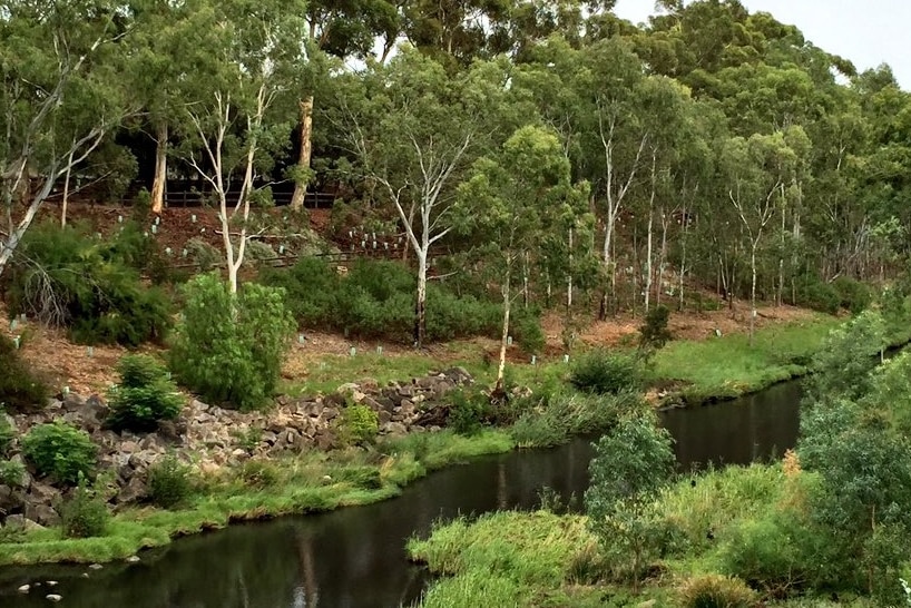 River Torrens in the inner suburbs of Adelaide
