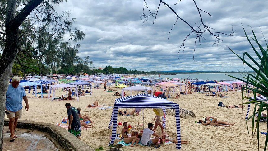 Noosa beach with heaps of cabanas on it.