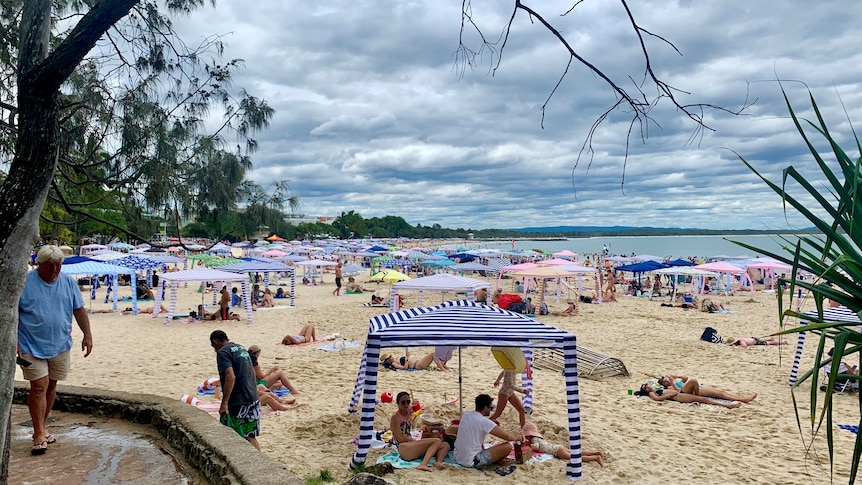 Noosa beach with heaps of cabanas on it.