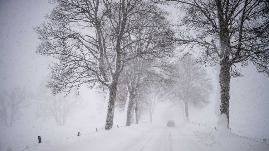 A road and trees are covered with snow