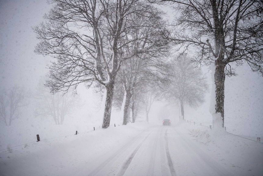 A road and trees are covered with snow