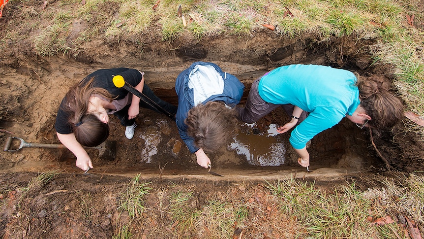 Springbank Island dig