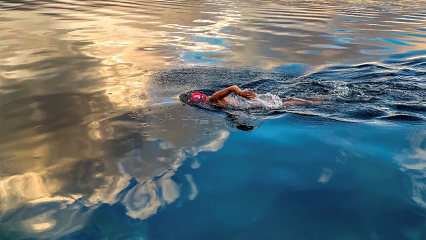 A swimmer cuts through smooth open ocean waters