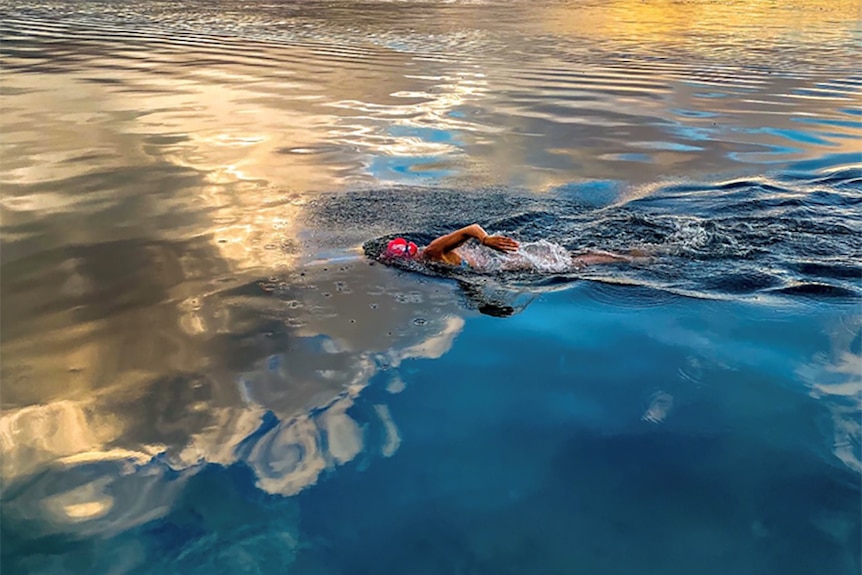 A swimmer cuts through smooth open ocean waters