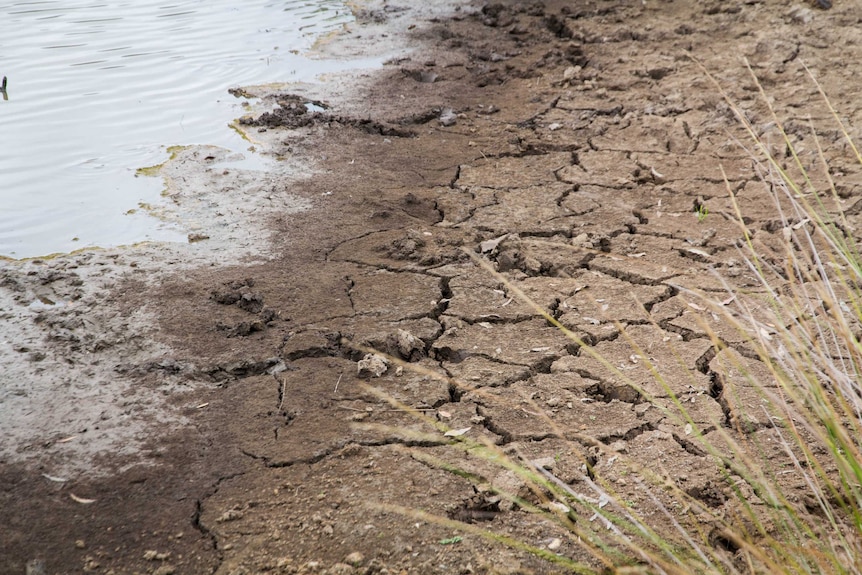 Dry, cracked earth next to a dam.