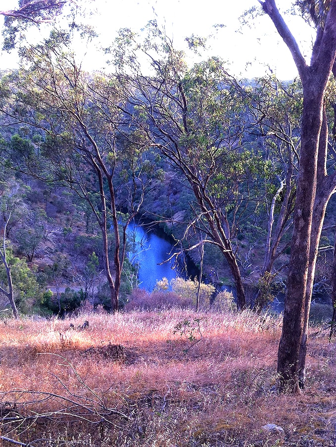 Sturt Gorge in Adelaide foothills