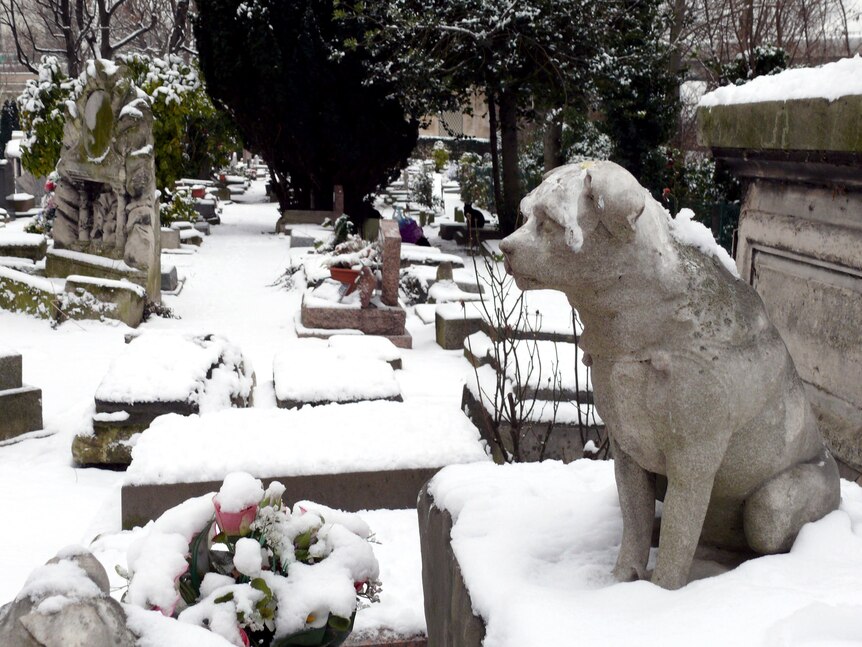 The animal cemetery at Asnières-sur-Seine near Paris, France.