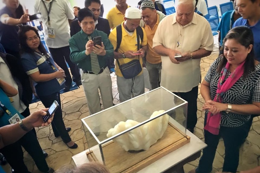 Giant clam pearl on display