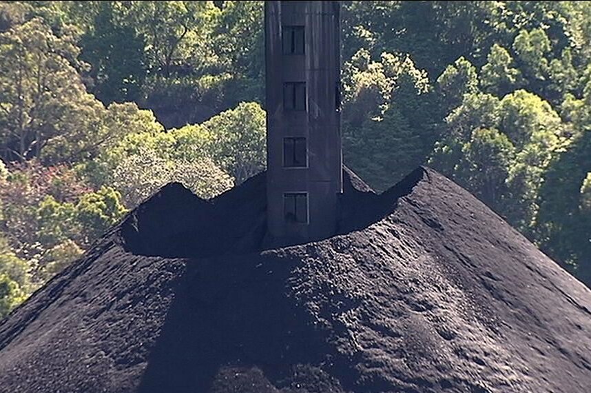 dendrobium coal mine